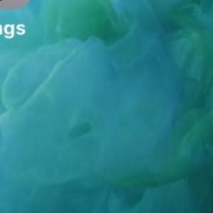 Meet your Posher, Danniel